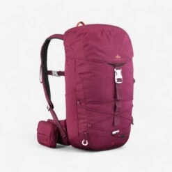 Quechua Rugzak Voor Bergwandelen MH100 20 Liter