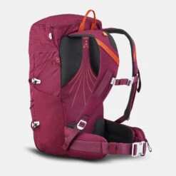 Quechua Rugzak Voor Bergwandelen MH100 20 Liter -Quechua Verkoop rugzak voor bergwandelen mh100 20 liter 3